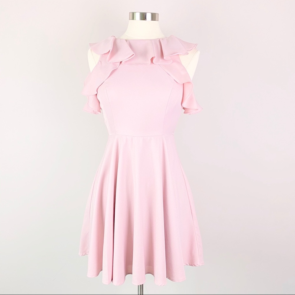 Ruffle Blush Pink Skater Dress